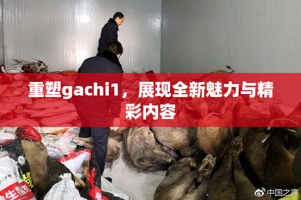 重塑gachi1，展现全新魅力与精彩内容