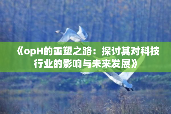 《opH的重塑之路：探讨其对科技行业的影响与未来发展》