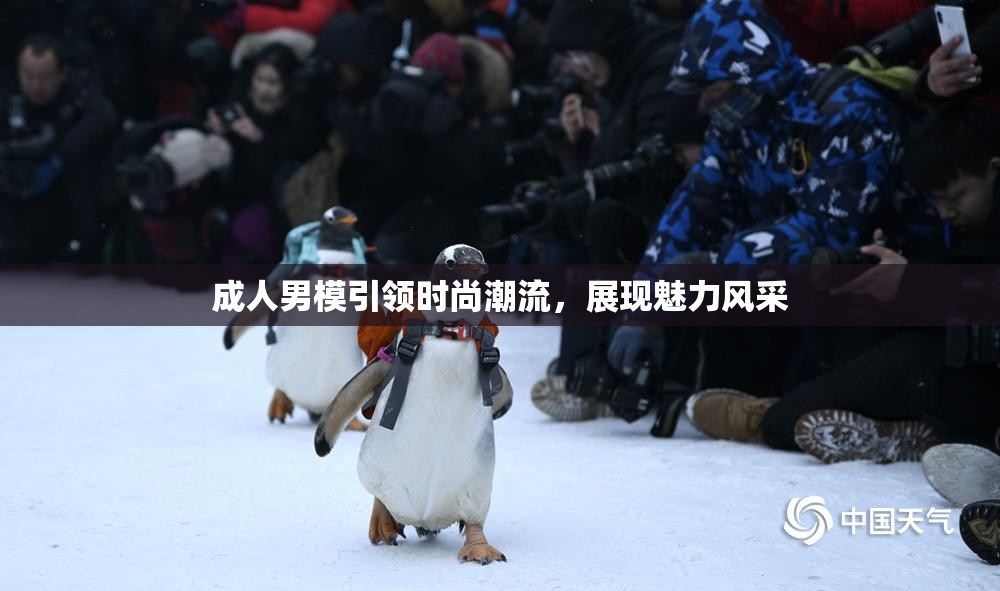 成人男模引领时尚潮流，展现魅力风采