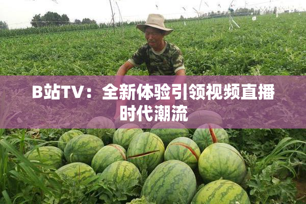 B站TV：全新体验引领视频直播时代潮流