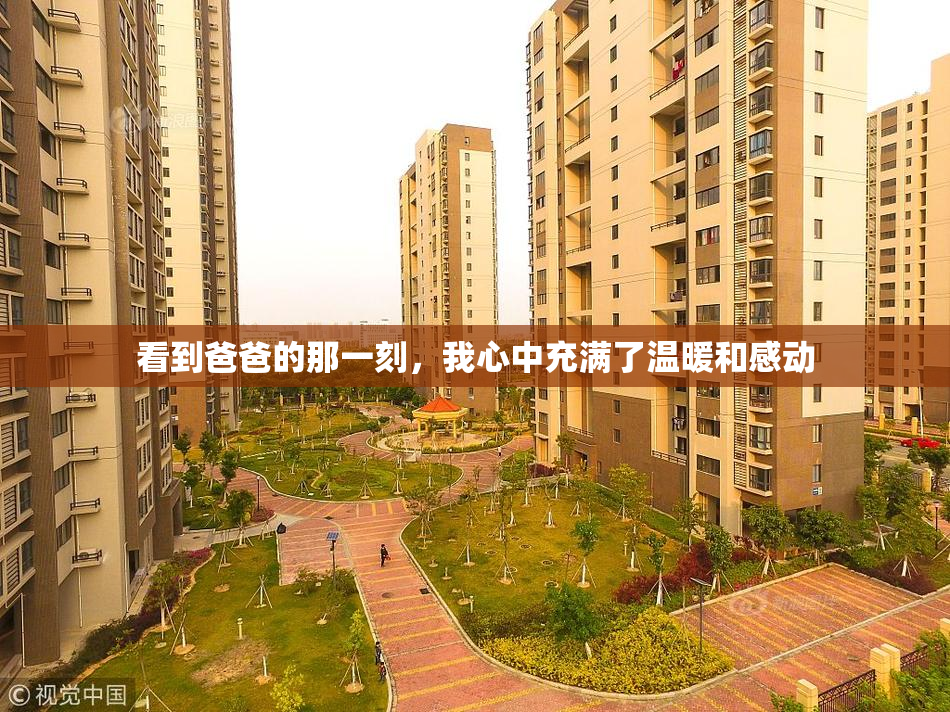 看到爸爸的那一刻，我心中充满了温暖和感动