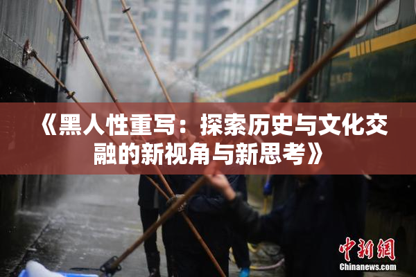 《黑人性重写：探索历史与文化交融的新视角与新思考》