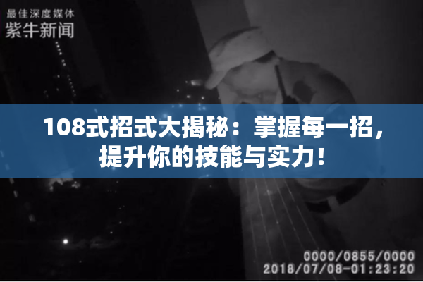108式招式大揭秘：掌握每一招，提升你的技能与实力！