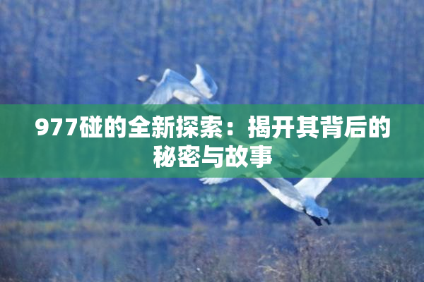 977碰的全新探索：揭开其背后的秘密与故事