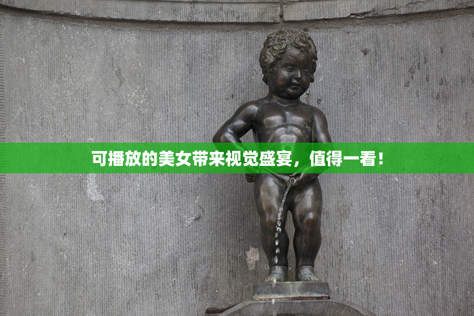 可播放的美女带来视觉盛宴，值得一看！