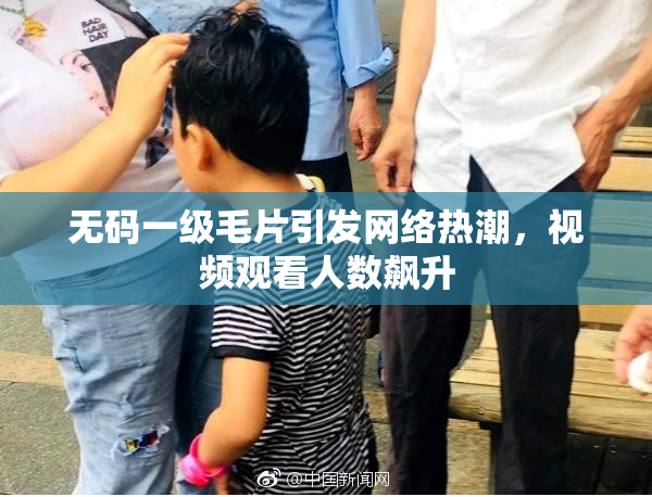 无码一级毛片引发网络热潮，视频观看人数飙升
