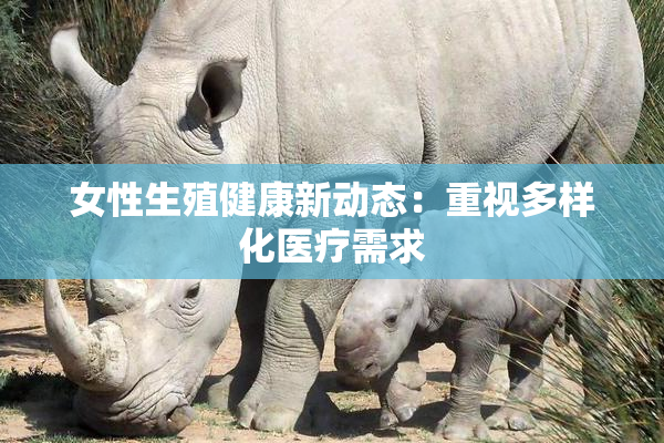 女性生殖健康新动态：重视多样化医疗需求