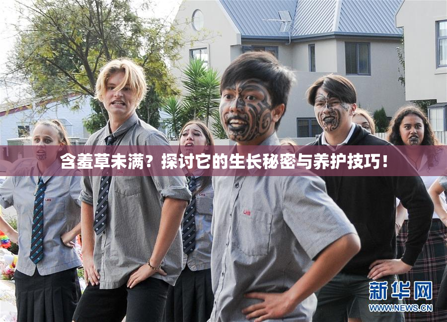 含羞草未满？探讨它的生长秘密与养护技巧！