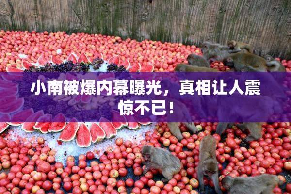 小南被爆内幕曝光，真相让人震惊不已！