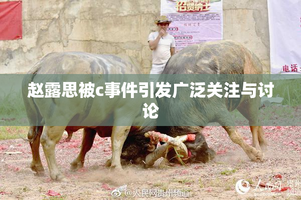 赵露思被c事件引发广泛关注与讨论