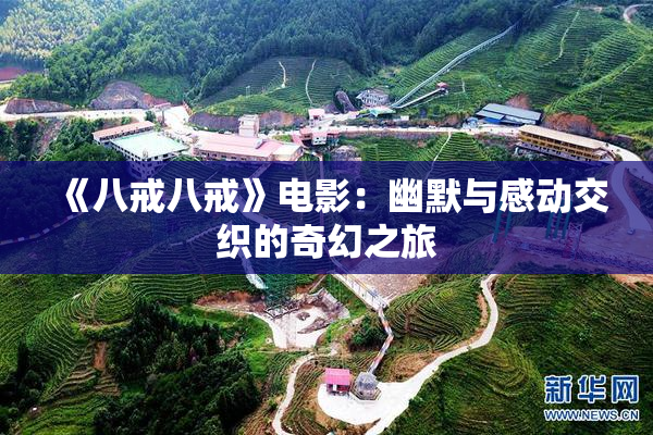 《八戒八戒》电影：幽默与感动交织的奇幻之旅