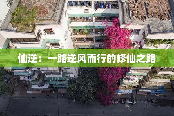 仙逆：一路逆风而行的修仙之路