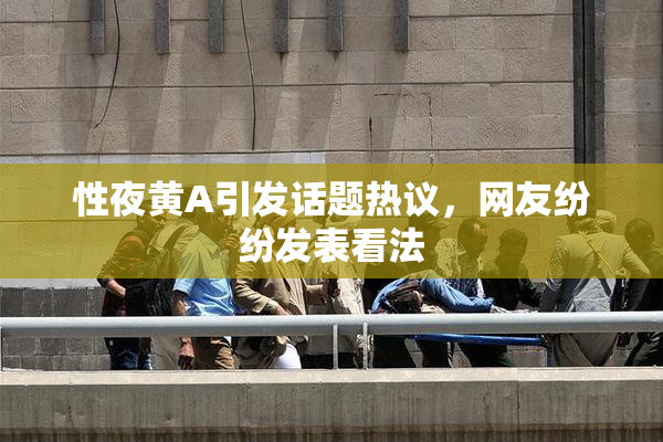 性夜黄A引发话题热议，网友纷纷发表看法