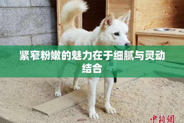 紧窄粉嫩的魅力在于细腻与灵动结合