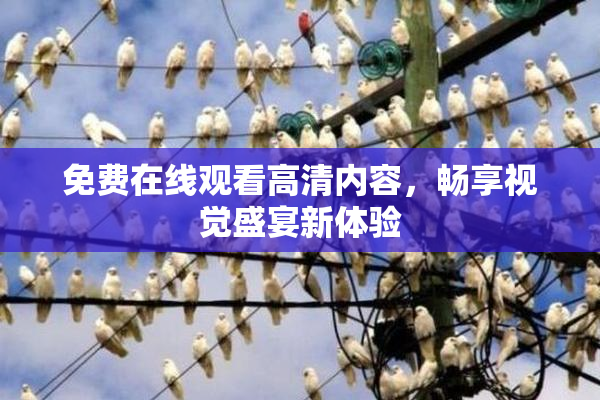 免费在线观看高清内容，畅享视觉盛宴新体验