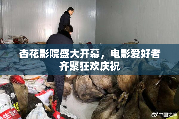 杏花影院盛大开幕，电影爱好者齐聚狂欢庆祝