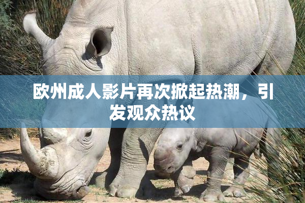欧州成人影片再次掀起热潮，引发观众热议