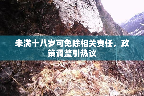 未满十八岁可免除相关责任，政策调整引热议