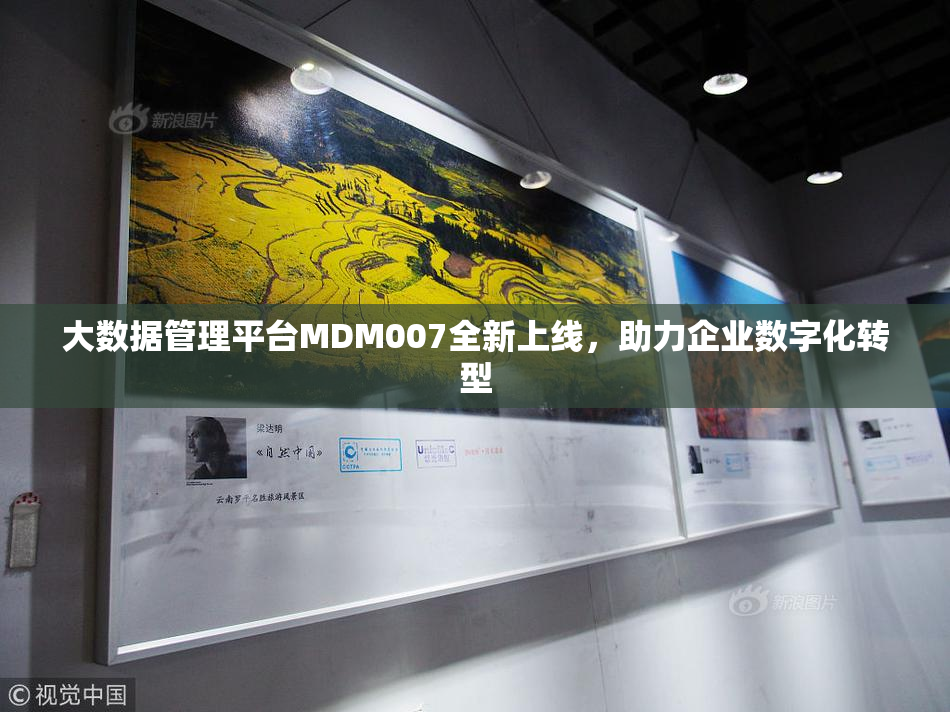 大数据管理平台MDM007全新上线，助力企业数字化转型