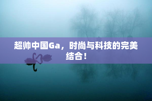 超帅中国Ga，时尚与科技的完美结合！