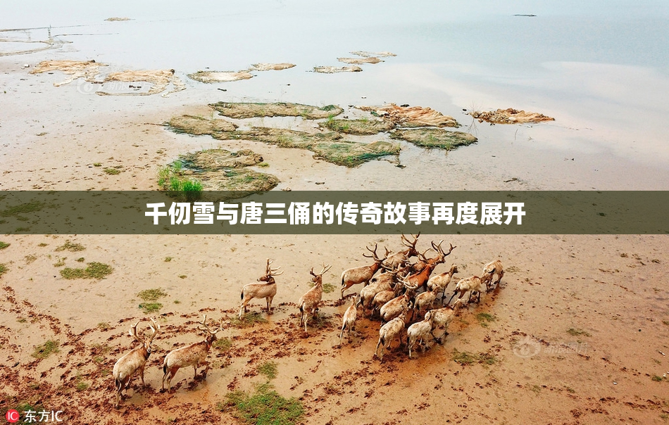 千仞雪与唐三俑的传奇故事再度展开