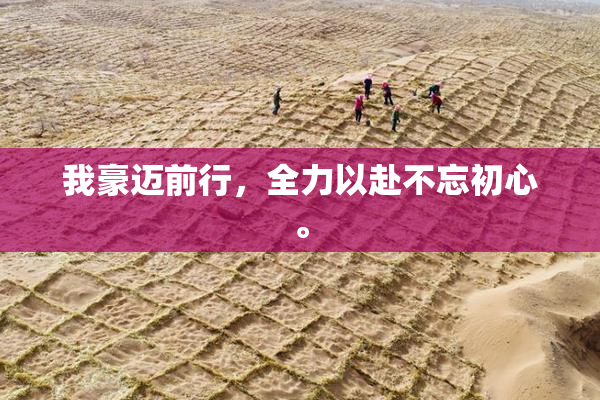 我豪迈前行，全力以赴不忘初心。