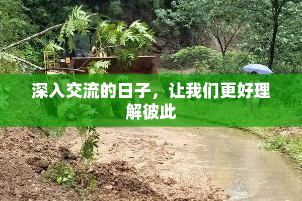 深入交流的日子，让我们更好理解彼此
