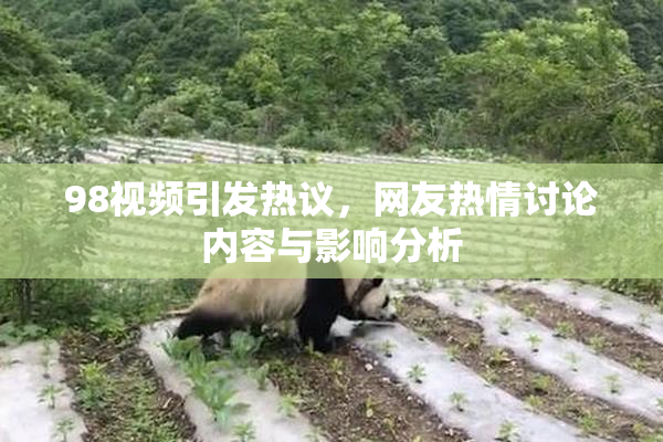 98视频引发热议，网友热情讨论内容与影响分析