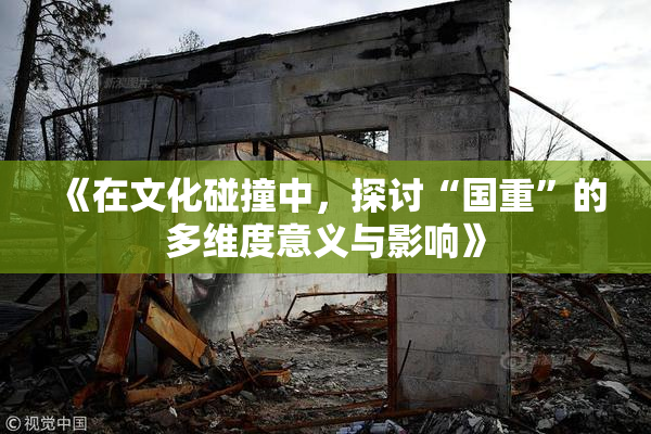 《在文化碰撞中，探讨“国重”的多维度意义与影响》