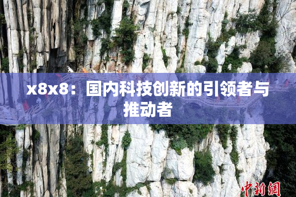 x8x8：国内科技创新的引领者与推动者