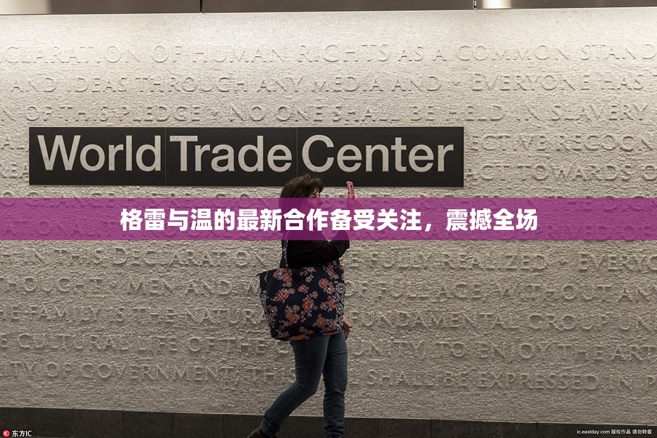 格雷与温的最新合作备受关注，震撼全场