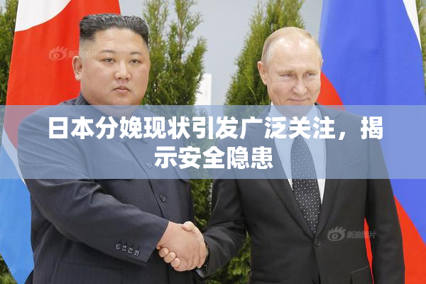 日本分娩现状引发广泛关注，揭示安全隐患