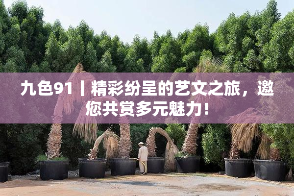 九色91丨精彩纷呈的艺文之旅，邀您共赏多元魅力！