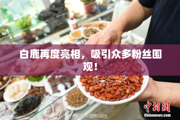 白鹿再度亮相，吸引众多粉丝围观！