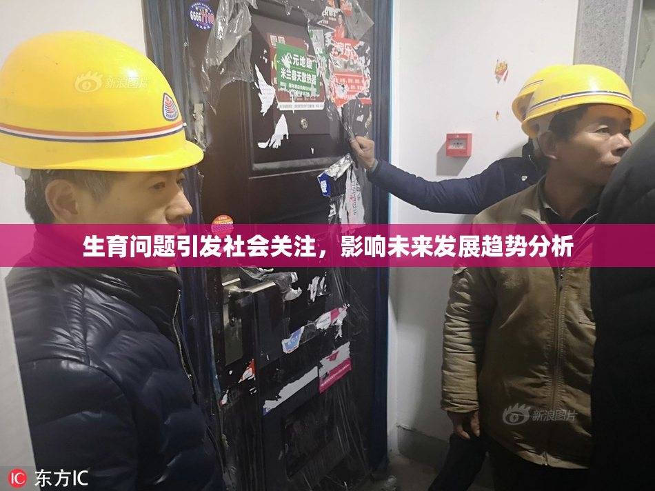 生育问题引发社会关注，影响未来发展趋势分析