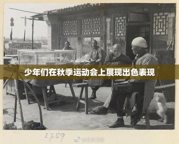 少年们在秋季运动会上展现出色表现