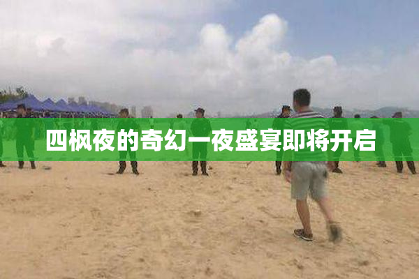 四枫夜的奇幻一夜盛宴即将开启