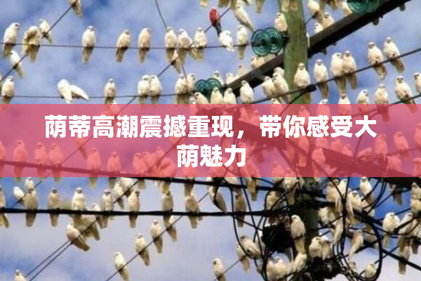 荫蒂高潮震撼重现，带你感受大荫魅力