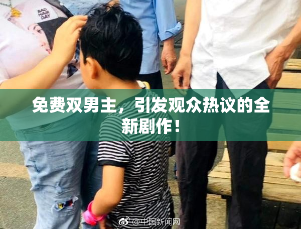 免费双男主，引发观众热议的全新剧作！