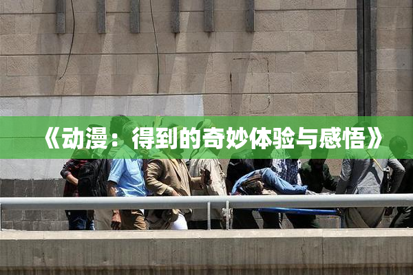 《动漫：得到的奇妙体验与感悟》