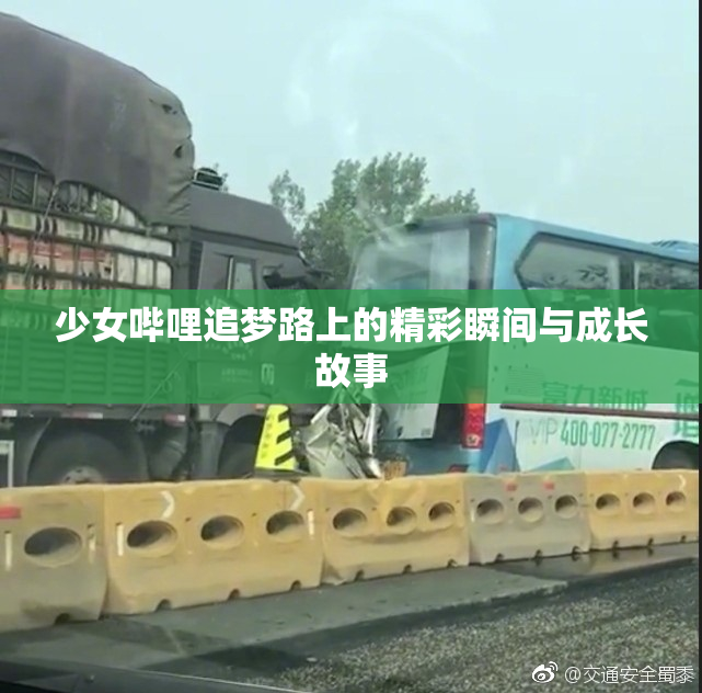 少女哔哩追梦路上的精彩瞬间与成长故事