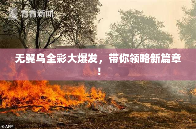 无翼乌全彩大爆发，带你领略新篇章！