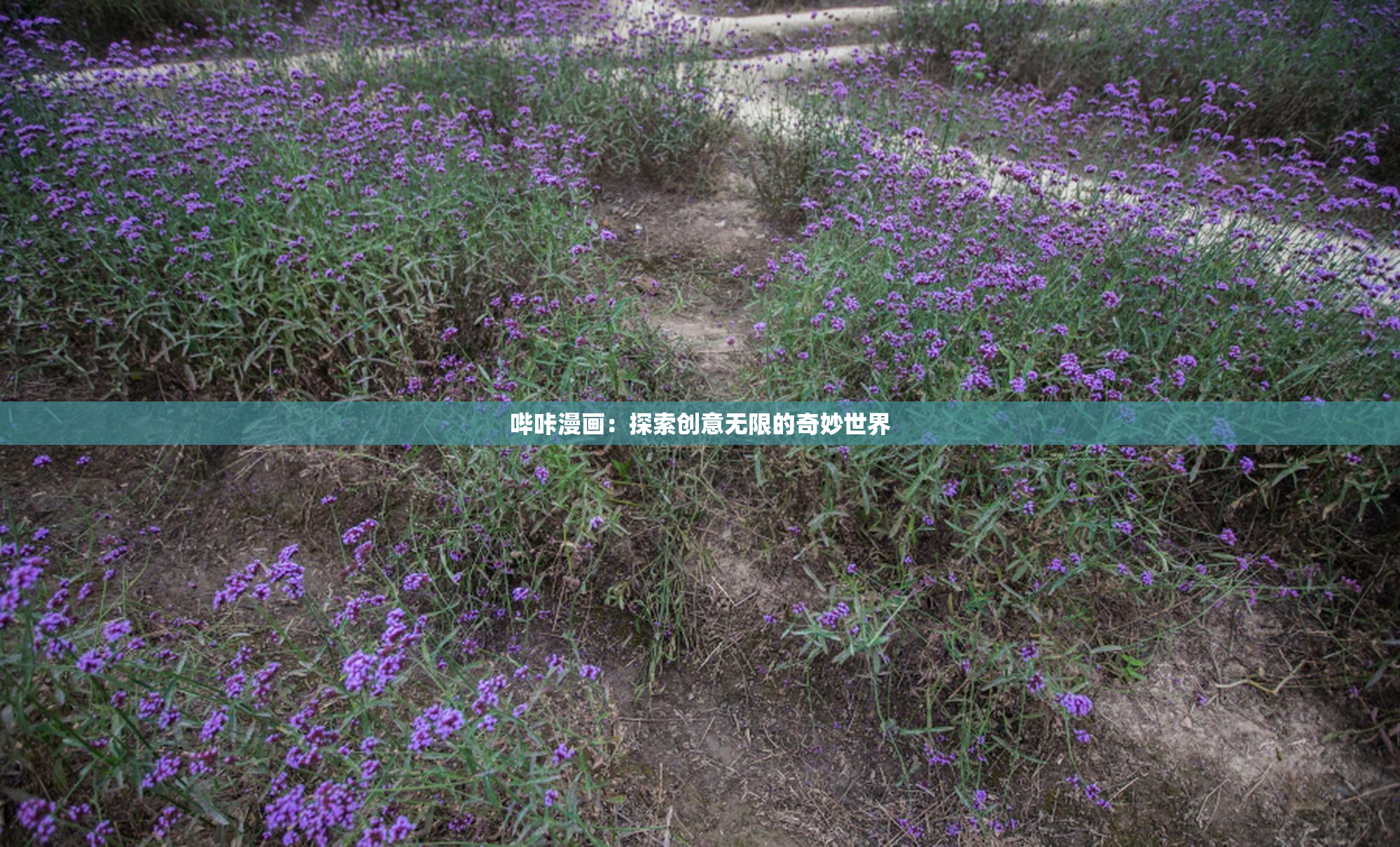 哔咔漫画：探索创意无限的奇妙世界