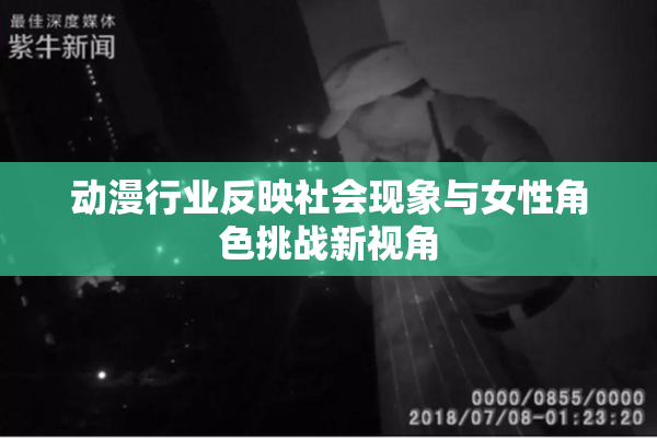 动漫行业反映社会现象与女性角色挑战新视角