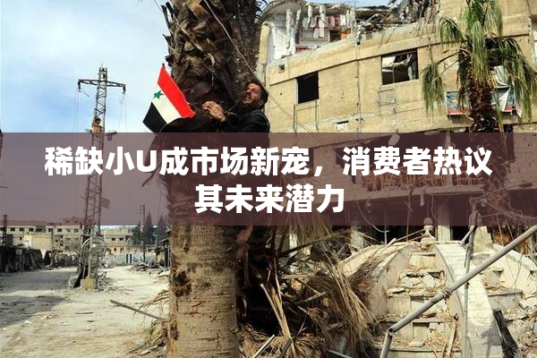 稀缺小U成市场新宠，消费者热议其未来潜力