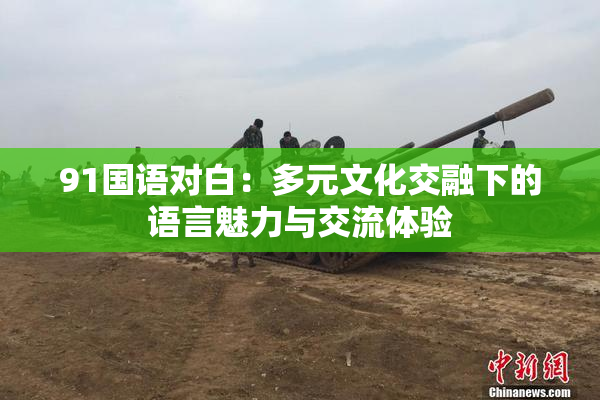 91国语对白：多元文化交融下的语言魅力与交流体验