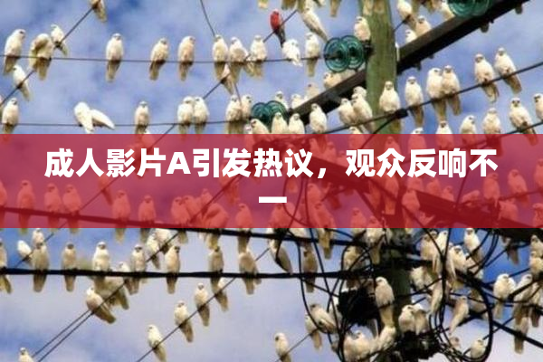 成人影片A引发热议，观众反响不一