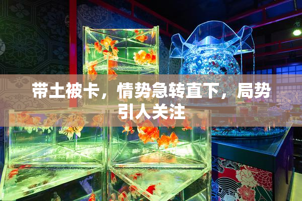 带土被卡，情势急转直下，局势引人关注
