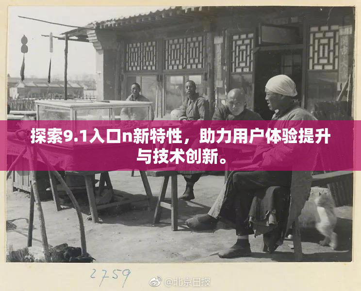 探索9.1入口n新特性，助力用户体验提升与技术创新。