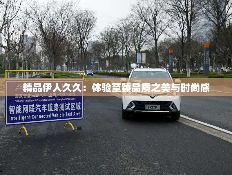 精品伊人久久：体验至臻品质之美与时尚感